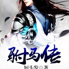 驸马传