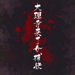 大理寺来了个女捕快