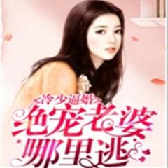 https://img2.kuwo.cn/star/albumcover/240/36/98/127998999.jpg