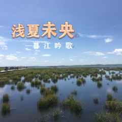 浅夏未央