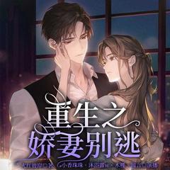 重生之娇妻别逃