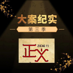 大案纪实：第三季