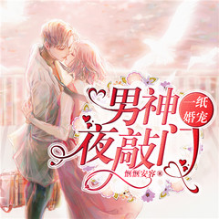 一纸婚宠：男神夜敲门