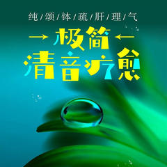 https://img2.kuwo.cn/star/albumcover/240/47/31/2476803548.jpg