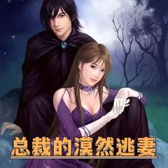 总裁的漠然逃妻