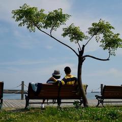 《陆医生的心动日记 》