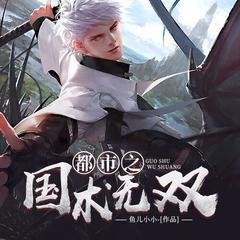 都市之国术无双