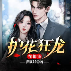 护花狂龙在都市