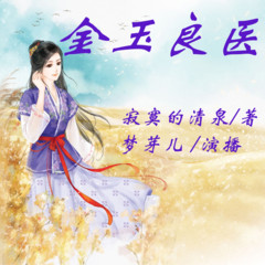 有声小说金玉良医
