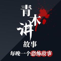 深夜电台：灵异诡事簿