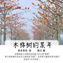木棉树的某年