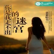 你是我走不出的迷宫