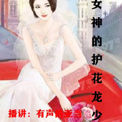 女神的护花龙少