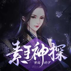素手神探