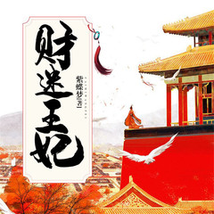 财迷王妃