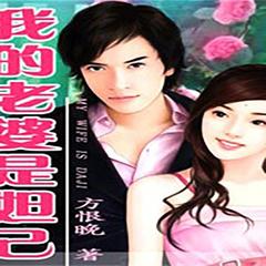 我的老婆是妲己
