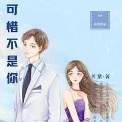 《可惜不是你》