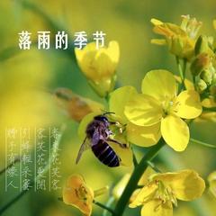 落雨的时节小提琴曲谱_春暮花落雨古琴曲谱(4)