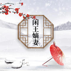 闲王嫡妻