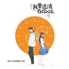 我曾流浪在你心上