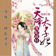 宠妃成狂：天降太子妃