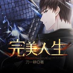 完美人生