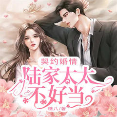 契约婚情：陆家太太不好当