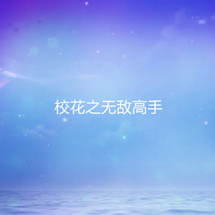 校花之无敌高手