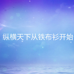纵横天下从铁布衫开始