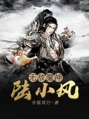 无敌魔神陆小风