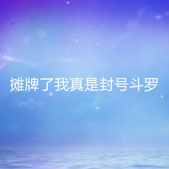 摊牌了我真是封号斗罗