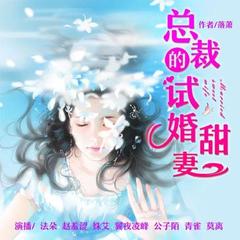 总裁的试婚甜妻