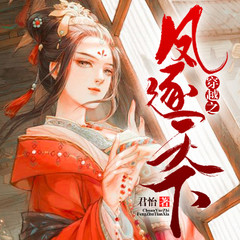 穿越之凤逐天下