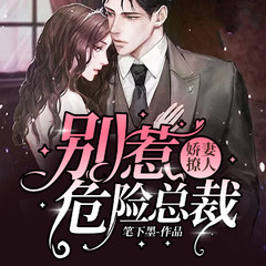 娇妻撩人：别惹危险总裁
