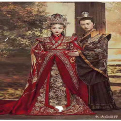 神医王妃