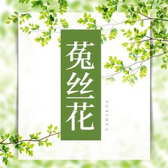 https://img2.kuwo.cn/star/albumcover/240/78/72/2935488805.jpg