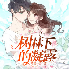 树林下的凝露