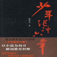 少年张冲六章
