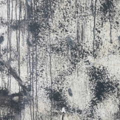 试音作品欣赏