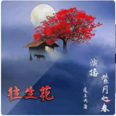 https://img2.kuwo.cn/star/albumcover/240/81/24/1800669501.jpg