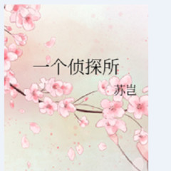 一个侦探所