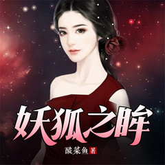 妖狐之眸