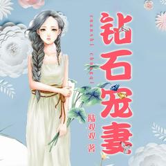 钻石宠妻
