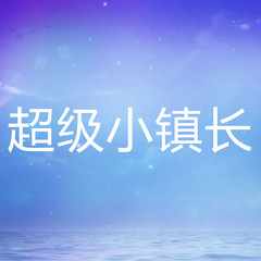 超级小镇长