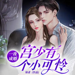 一夜成婚：宫少有个小可怜