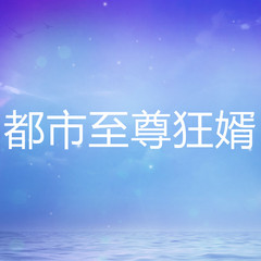 都市至尊狂婿