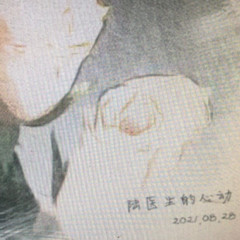 陆医生的心动日记
