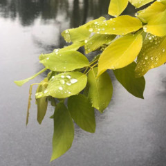 一个侦探所