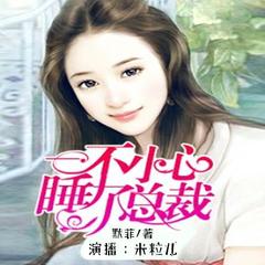 一不小心睡了总裁