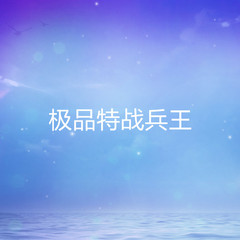 极品特战兵王